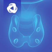 Image For Activity Cover