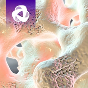 Image For Activity Cover