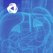 Image For Activity Cover