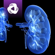 Image For Activity Cover