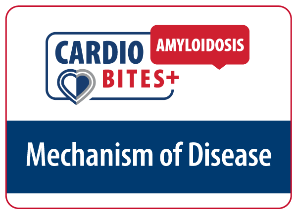 CardioBites+ Amyloidosis - Mechanism of Disease