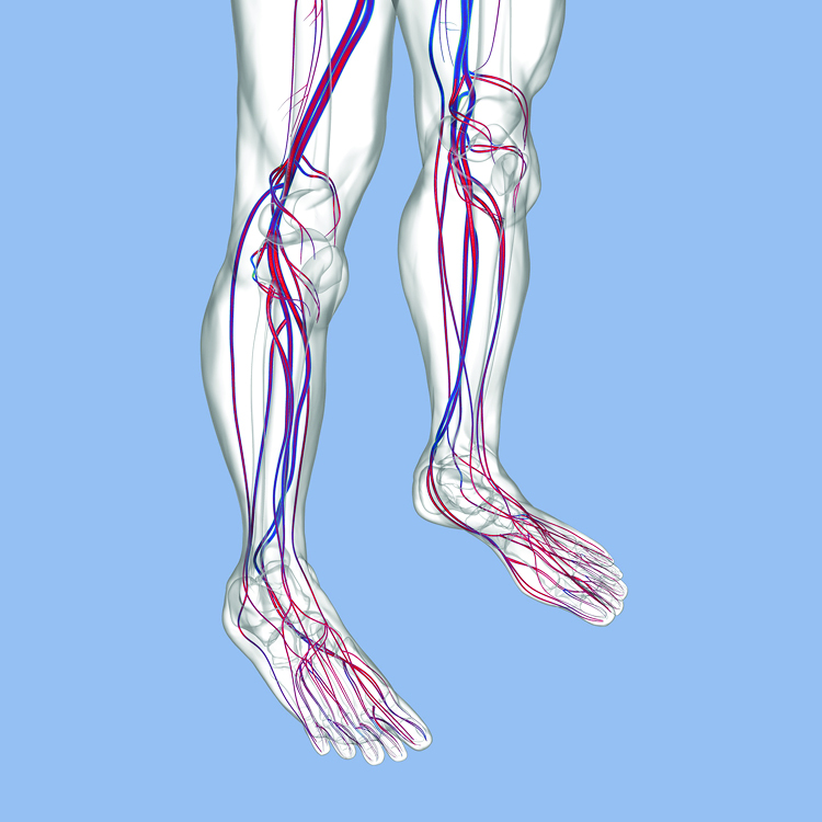 Image For Activity Cover