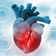 Image For Activity Cover