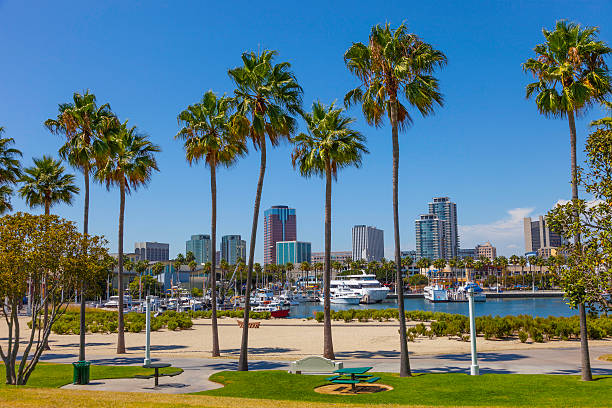 SCAI FIRST West Coast: Strategic Decision-Making in High-Risk Complex PCI: Leveraging Intravascular Imaging & Physiology Image